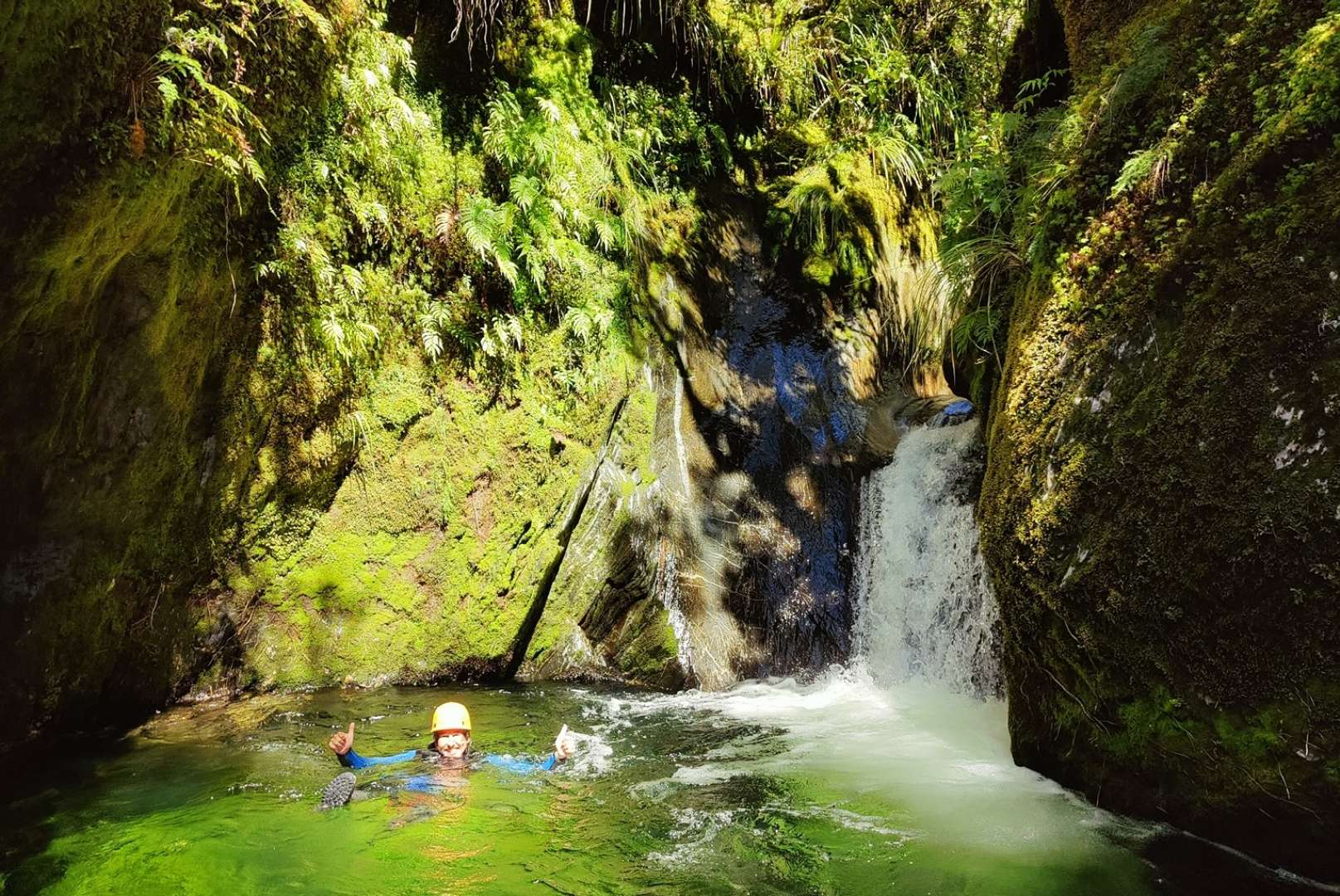 get a chance to explore native forest